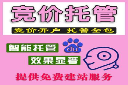 托管SEM竞价全解析：从入门到精通的实战案例